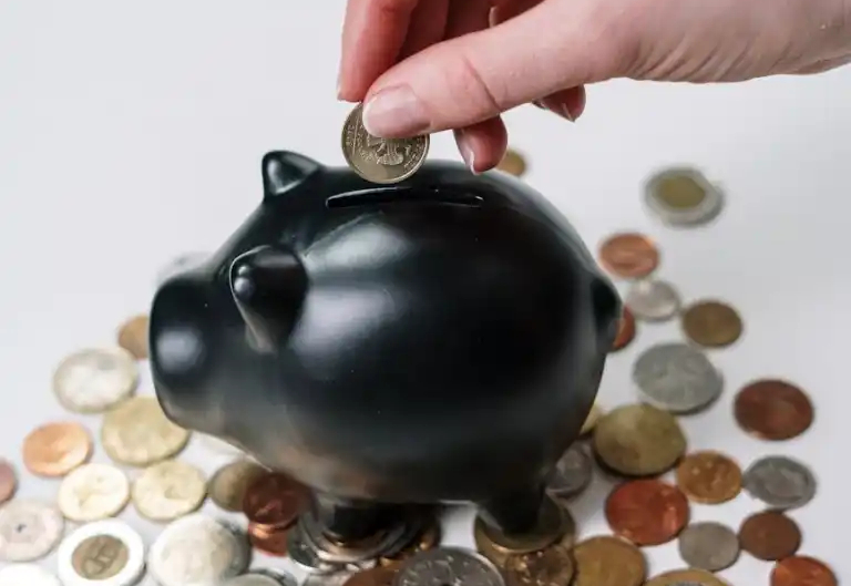 piggy bank Environmentarian