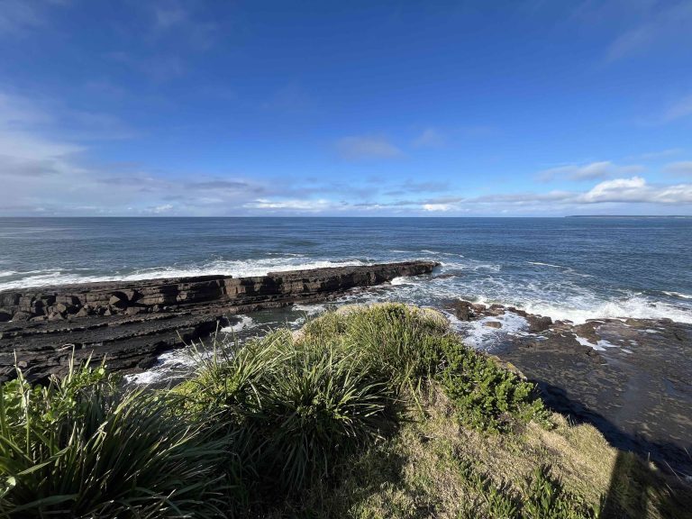 Green Hosting: Carbon Neutral Servers